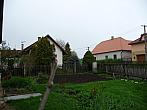 Třibřichy